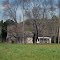 Old House and Wisteria, Hanover County, VA.
