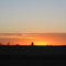 Sunset in Nebraska