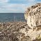 McConaughy