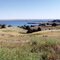 Lake McConaughy,Ogallala,Nebraska.USA.