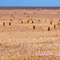 Hayrolls