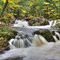 Overlooked Falls