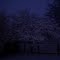 Snow falling