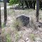 John Hollman grave site