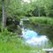 Birch Stream
