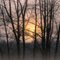 Stillwater River Sunrise in March