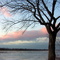 Penobscot River at Dusk. Milford, ME, USA