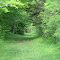 May 2011 - Medina, Minnesota. Wooded hiking trail in Baker Park Reserve.