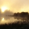 Flowage Fog