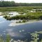 A Pond By Atv Trail going to Solon Springs Wisconsin