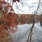 Red Oaks on the River