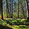 Brule Glacial Spillway State Natural Area