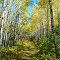 North Country National Scenic Trail