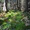 Brule Glacial Spillway State Natural Area