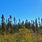 Brule Glacial Spillway State Natural Area