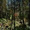 Brule Glacial Spillway State Natural Area