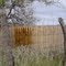"Baca Float Ranch, between Tubac and Nogales Arizona"