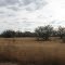 Desert Landscape from Duquesne Road
