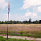 Summer Colors - Open field on hot day