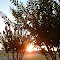 Sunset at Olive Branch, Mississippi