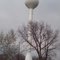 Maynard, IA