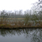 Marais d'Isle