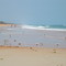 Ormond By The Sea