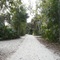 Road through the campground at Tomoka