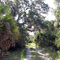 Bulow Pumphouse Road Trail