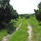 Bulow Pumphouse Road Trail
