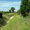 Bulow Pumphouse Road Trail