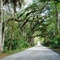 canopy road, Scenic Old Dixie Hwy, Tomoka, Florida (11-25-2007