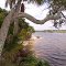 Tomoka State Park, Ormond Fla (8-29-2011)