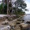 panoramic of coquina rock outcropings on the Tomoka River Basin (8-29-2011)