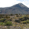 M Mountain