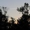 Late afternoon - Rest area / Hwy 158, NC, USA.