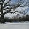 Goddard Park