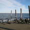 The Bay