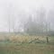 Blair Witch School House