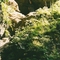 Maquoketa Caves State Park