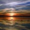 Sunset Swans, Cold Spring Cove