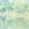 Millers River - Blue Haron