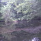 sylvan pond 03