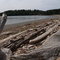 Crescent Beach, Orcas Island