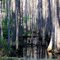 Perquimans County, North Carolina