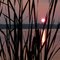 Sunset on Lake Van Etten, Oscoda, MI