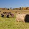 IMG_2010_10_15_8809