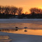 Mudhole Bay