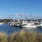 Coos Bay Docks