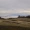 Morning Fog